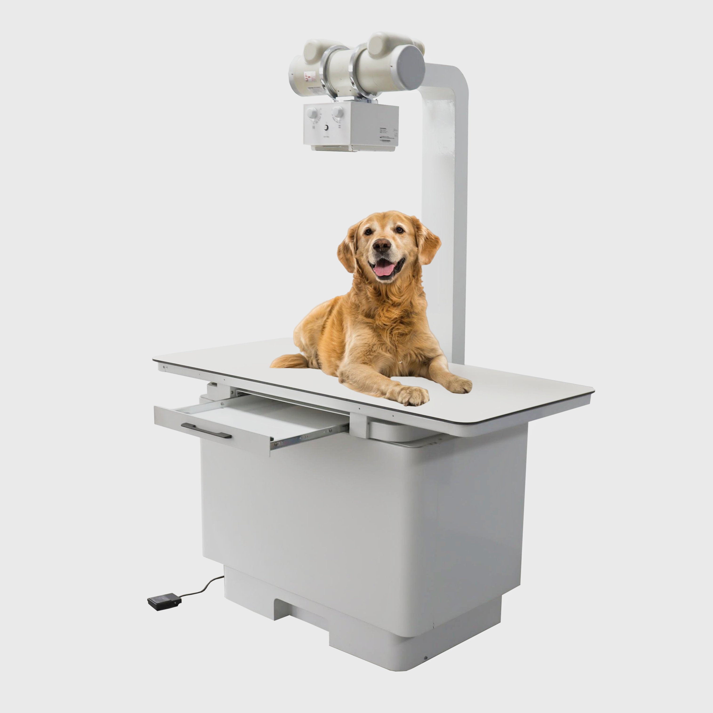 Professional-Digital-Radiography-X-Ray-Veterinary-Machines