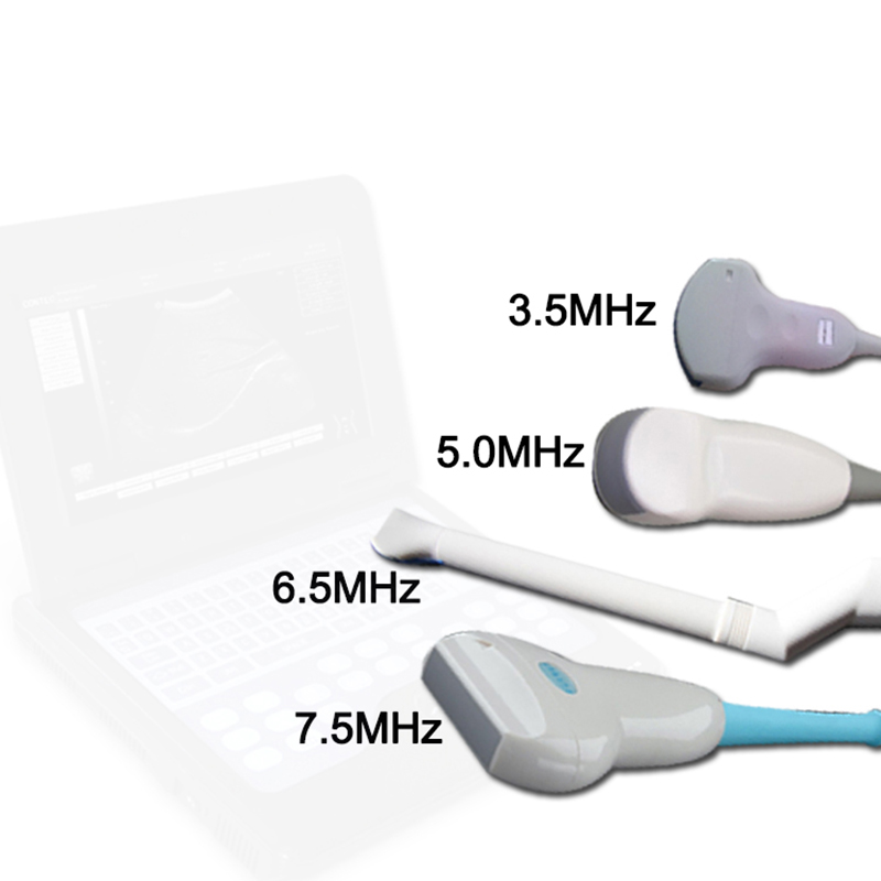 Veterinary Ultrasound Diagnostic System CMS600P2VET