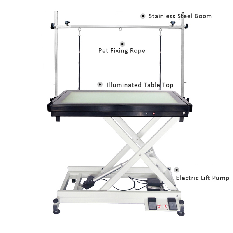 Height Adjustable Hydraulic Pet Electric Grooming Table N-141