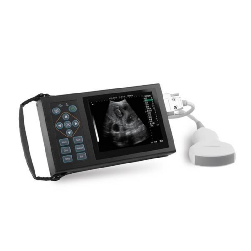 Full Digital Ultrasonic Diagnostic Instrument Veterinary Ultrasound Machine CBV-A10