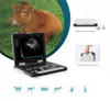 2 Probes Interface 15 Inch Full Digital Veterinary Ultrasound Scanner CBV-RS-N50