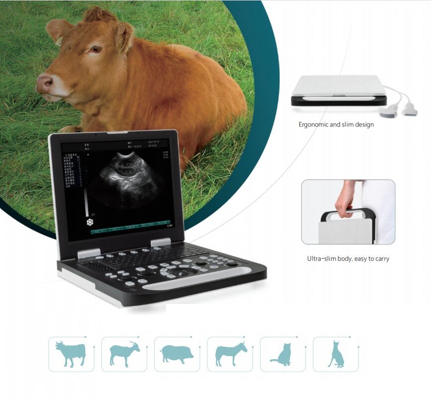 2 Probes Interface 15 Inch Full Digital Veterinary Ultrasound Scanner CBV-RS-N50