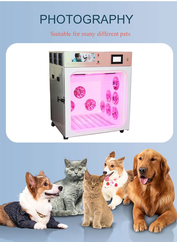 Automatic Pet Cat Dog Hair Dryer Box 06