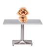 Pet Medical Examination Table Surgery Veterinary Equipment PLZL-01