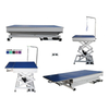 Professional Veterinary Equipment Foldable Pet Grooming Table N-109