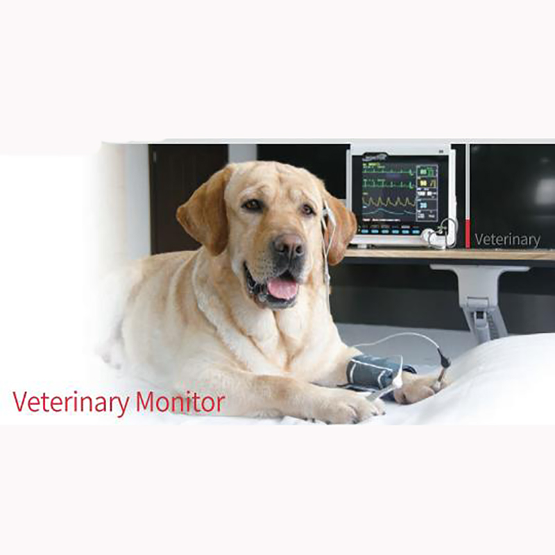 Portable 8-Inch Big Screen Multiparameter Veterinary Monitor CMS6000VET