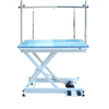 Height Adjustable Hydraulic Pet Electric Grooming Table N-141