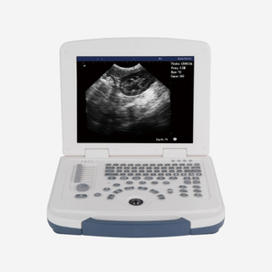 12.1 Inch Portable Laptop Veterinary Ultrasound Scanner for Large Animals CBV-MU10