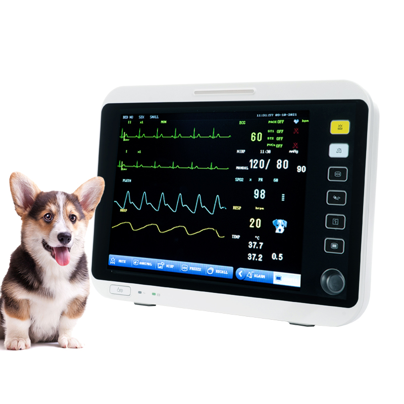 12.1 Inch Portable Vet Multiparameter Monitor VM12B