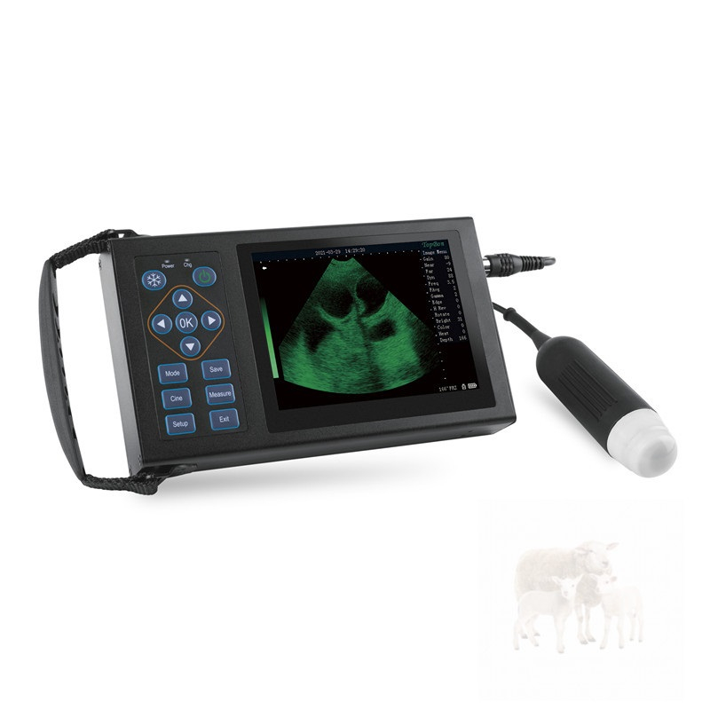 Handheld Mechanical Veterinary Animal Pregnancy Ultrasound Scanner CBV-M10