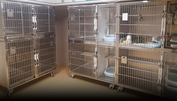 Cupabear Veterinary Cages Application in Customers\' Clinic