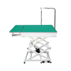 Professional Veterinary Equipment Foldable Pet Grooming Table N-109