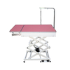 Professional Veterinary Equipment Foldable Pet Grooming Table N-109