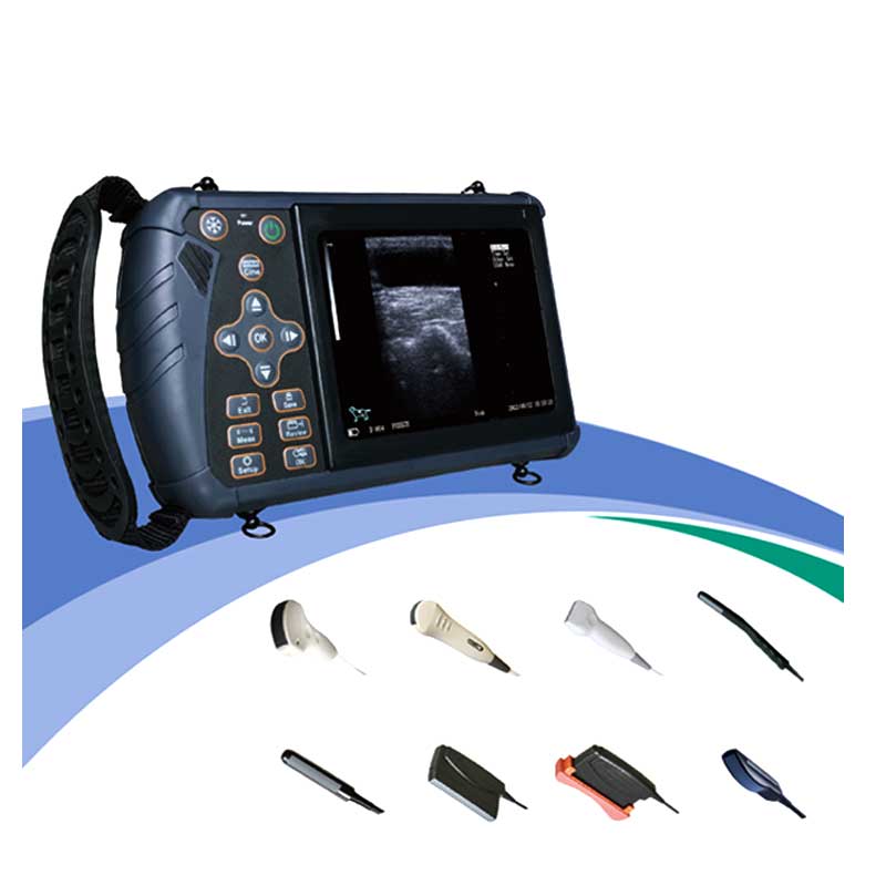 Multifunctional Veterinary Handheld Ultrasound Scanner CBV-S1