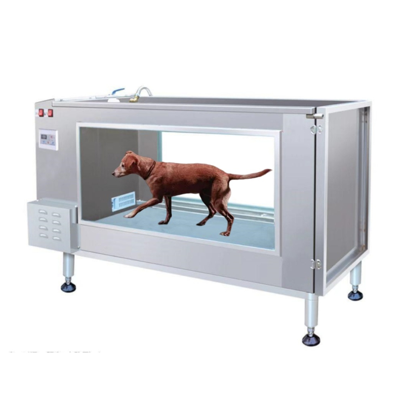 Veterinary Pet Hydrotherapy Underwater Dog Treadmill CP-C380