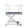 Electric Lift Pet Grooming Table N-140