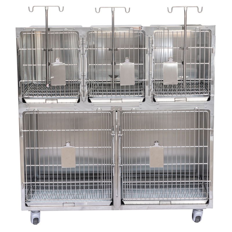 High Quality Pet Therapy Cage Veterinary Kennels PLVC-005