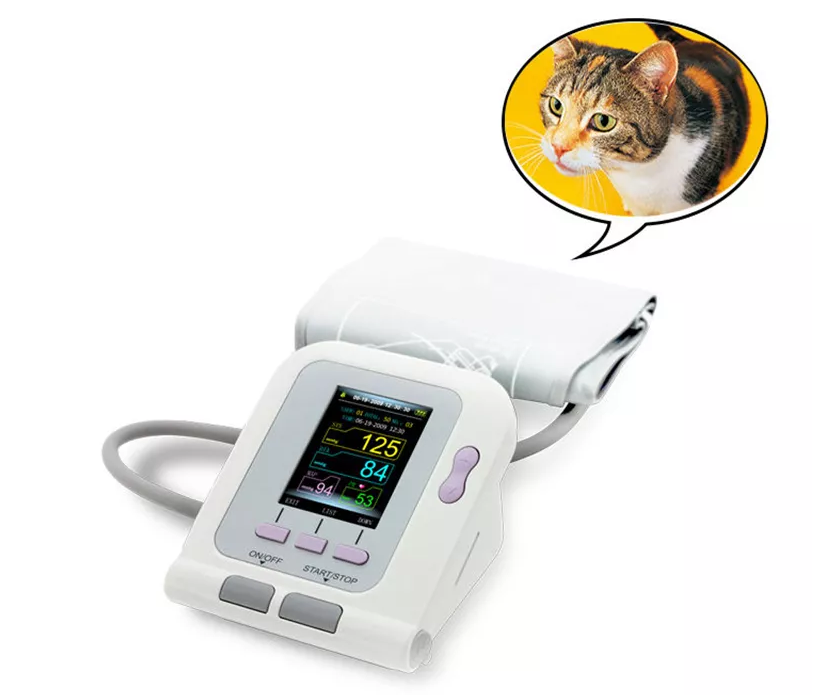 Cupabear ECG Machine