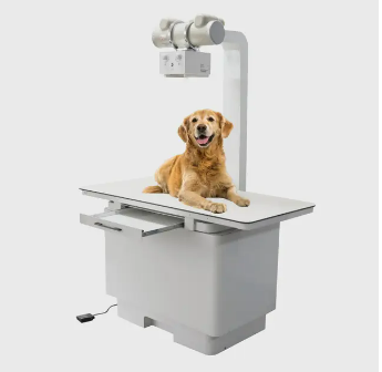 Navigating The Complexities Of Veterinary X-Ray Machines: A Buyer's Guide