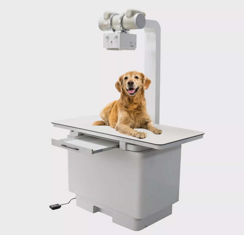 cupabear veterinary x-ray machine