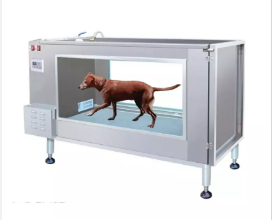 canine underwater treadmill therapy machine