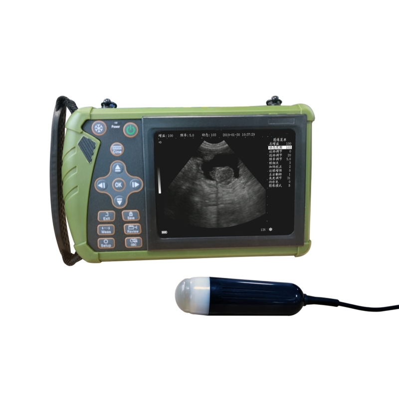 Wholesale Handheld Mechanical Vet Ultrasound Scanner CBV-S0